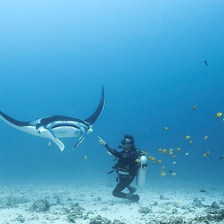Blue Marlin Dive Komodo Labuan Bajo Exterior foto